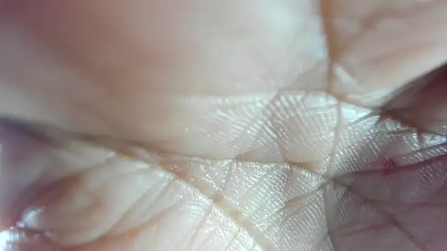 Mindy 19 online show from December 2025 11:05:01 AM