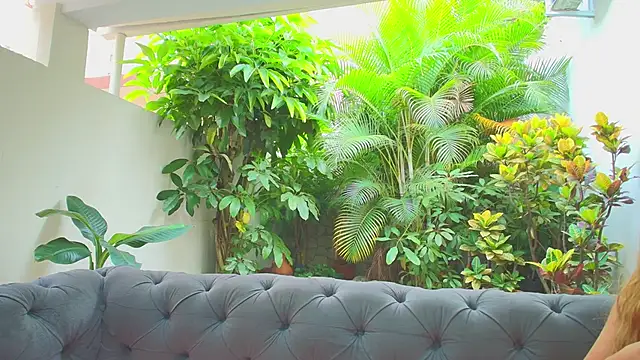 sharon greey online show from November 2025 12:48:01 PM