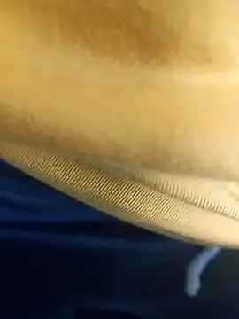 pauzudao 12 online show from March 2026 09:31:02 PM