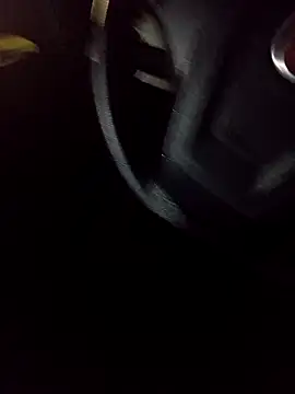 pauzudao 12 online show from March 2026 10:49:01 PM