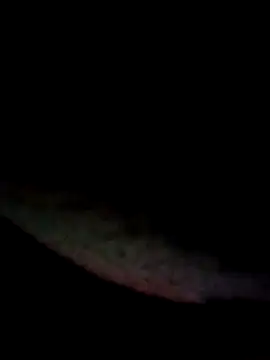 kamita-12 online show from January 2026 08:24:02 PM