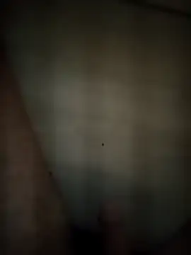 Patressssss online show from April 2026 09:15:01 PM