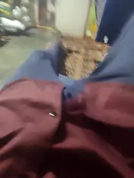 Snapshot of Telugu_person12 chatting on March 2026 03:38:02 PM Telugu person12 online show from March 2026 03:38:02 PM