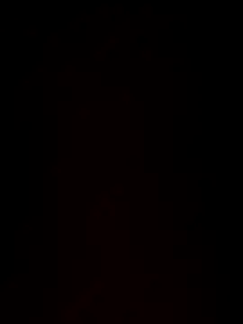 paigeycakes online show from October 2025 05:17:02 AM