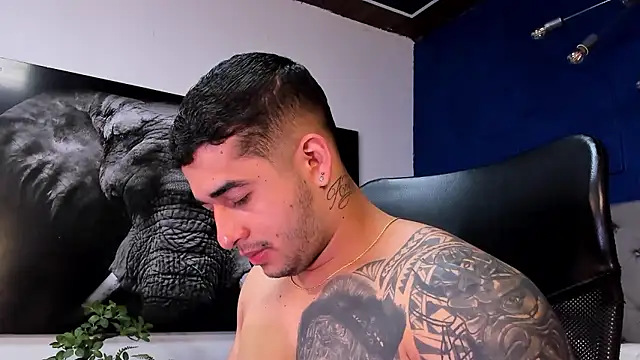 king falconer online show from January 2026 01:00:02 AM