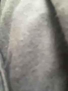 freedmar online show from April 2026 03:38:01 PM