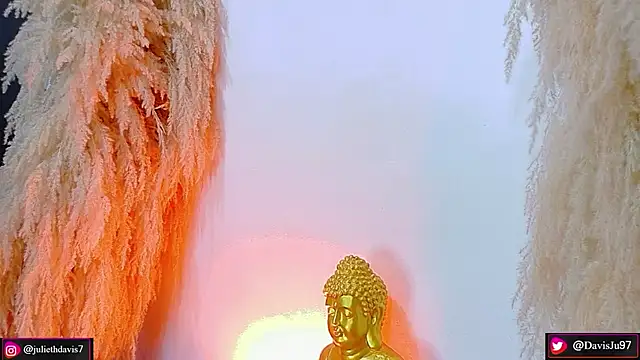 Snapshot of JulietaDavis chatting on April 2026 09:38:01 AM JulietaDavis online show from April 2026 09:38:01 AM