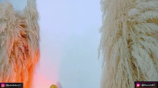 Snapshot of JulietaDavis chatting on April 2026 09:34:01 AM JulietaDavis online show from April 2026 09:34:01 AM