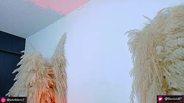 Snapshot of JulietaDavis chatting on April 2026 09:34:02 AM JulietaDavis online show from April 2026 09:34:02 AM