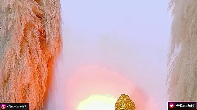 Snapshot of JulietaDavis chatting on April 2026 09:33:02 AM JulietaDavis online show from April 2026 09:33:02 AM