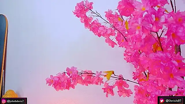 Snapshot of JulietaDavis chatting on May 2026 09:37:02 AM JulietaDavis online show from May 2026 09:37:02 AM