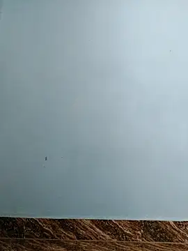 tight pussy57 online show from November 2025 05:16:02 AM