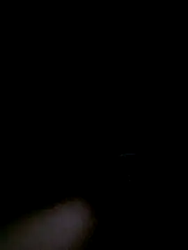 stella1980 online show from April 2026 04:32:01 AM