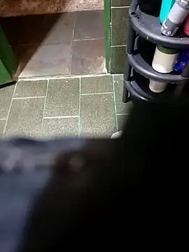 Alex Docinho online show from November 2025 09:05:02 PM