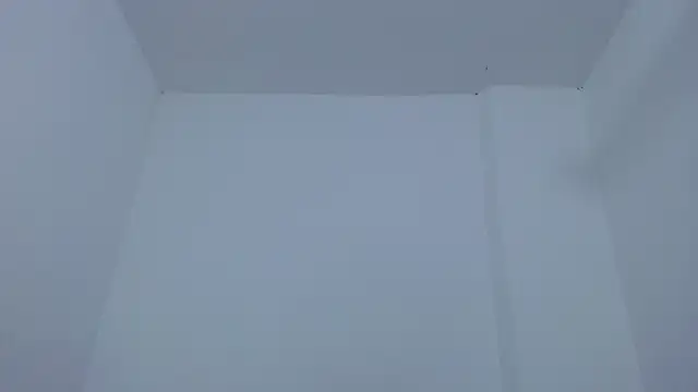 carolina zabala 19 online show from December 2025 07:20:02 PM