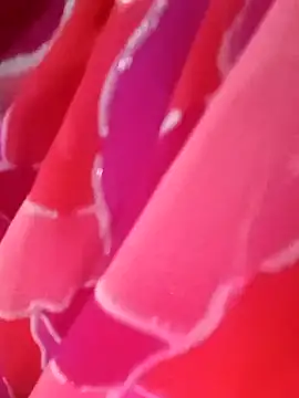 Snapshot of kittu0987 chatting on February 2026 05:00:02 AM kittu0987 online show from February 2026 05:00:02 AM