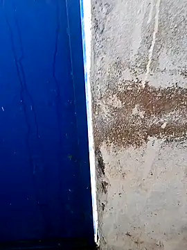 Yaman 33 online show from March 2026 09:31:02 AM