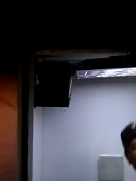 Secreto25 online show from October 2025 11:11:01 AM