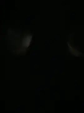 Archie-Davis online show from October 2025 07:26:02 PM