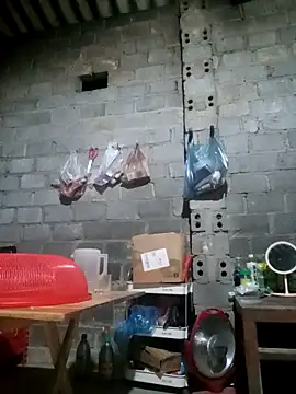 jienrrr online show from September 2025 12:50:01 PM