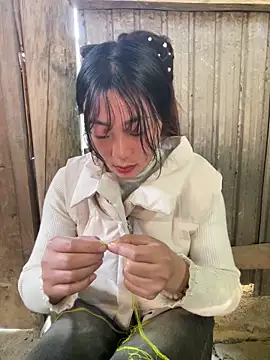 isaaa5 online show from November 2025 08:25:01 AM