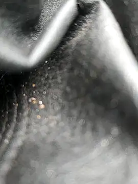 Snapshot of legaros chatting on October 2025 08:04:02 AM legaros online show from October 2025 08:04:02 AM