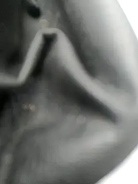 Snapshot of legaros chatting on October 2025 03:12:01 PM legaros online show from October 2025 03:12:01 PM