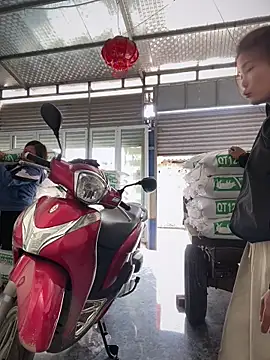 Maily NC online show from March 2026 04:29:02 AM