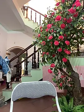 Bollozzy 89 online show from September 2025 04:49:02 AM