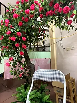 Bollozzy 89 online show from September 2025 04:23:01 PM