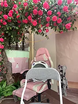 Bollozzy 89 online show from October 2025 04:54:01 AM