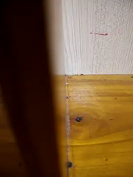 Snapshot of daisylouis chatting on March 2026 02:49:01 AM daisylouis online show from March 2026 02:49:01 AM