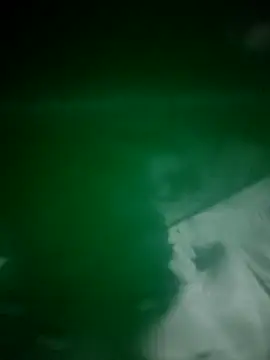 Snapshot of daisylouis chatting on April 2026 12:14:01 PM daisylouis online show from April 2026 12:14:01 PM