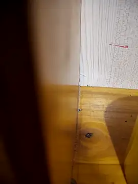 Snapshot of daisylouis chatting on April 2026 01:07:01 AM daisylouis online show from April 2026 01:07:01 AM