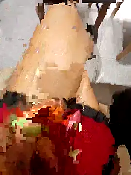 Ori-Lynk online show from February 2026 06:06:02 AM