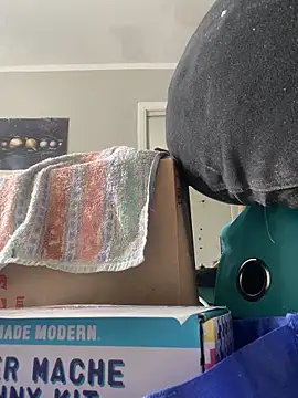 JezOne555 online show from March 2026 03:34:01 PM