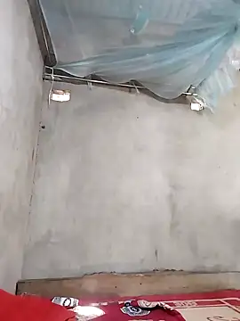 Snapshot of BigBoobs186 chatting on September 2025 01:06:02 AM BigBoobs186 online show from September 2025 01:06:02 AM