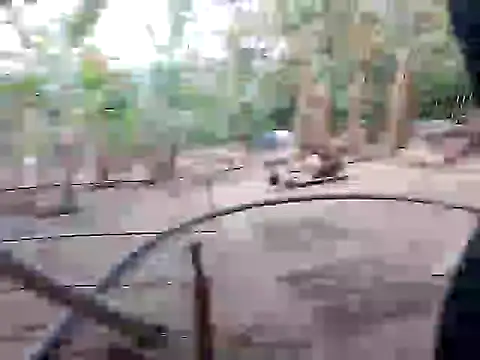 Snapshot of BigBoobs186 chatting on November 2025 10:03:01 AM BigBoobs186 online show from November 2025 10:03:01 AM