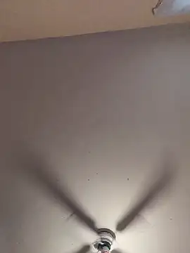 Cnutt310 online show from April 2026 11:42:01 PM