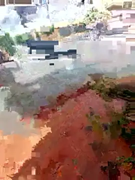 Snapshot of jeff_pepoer chatting on January 2026 03:36:02 PM jeff pepoer online show from January 2026 03:36:02 PM