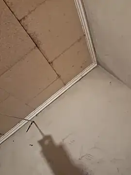 Snapshot of Tudiablita21 chatting on April 2026 07:53:02 AM Tudiablita21 online show from April 2026 07:53:02 AM