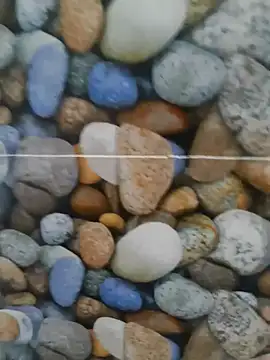 Snapshot of coocon2020 chatting on October 2025 01:31:01 AM coocon2020 online show from October 2025 01:31:01 AM