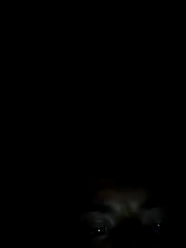 Snapshot of Xhimo5 chatting on September 2025 08:31:02 AM Xhimo5 online show from September 2025 08:31:02 AM