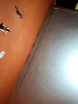 Snapshot of Xhimo5 chatting on February 2026 08:35:01 AM Xhimo5 online show from February 2026 08:35:01 AM