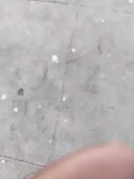 Snapshot of Wet_BunnyFun chatting on November 2025 12:05:02 PM Wet BunnyFun online show from November 2025 12:05:02 PM