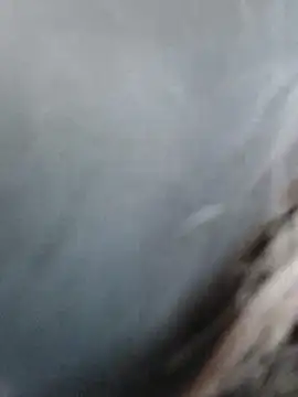 Snapshot of meomeocute chatting on March 2026 10:21:01 AM meomeocute online show from March 2026 10:21:01 AM