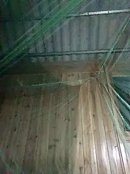 Mptrangp online show from April 2026 07:58:02 PM