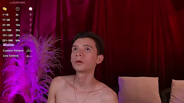 VicenteFerrer online show from February 2026 11:09:02 PM