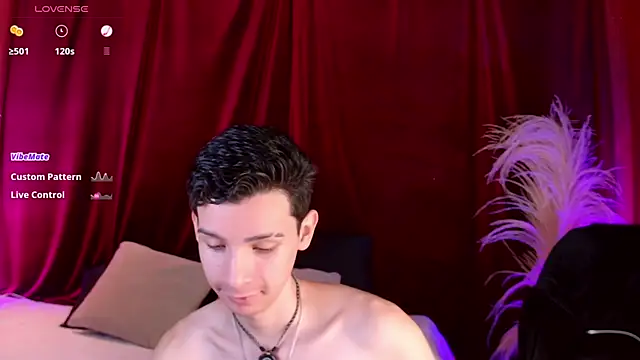 VicenteFerrer online show from June 2026 02:08:01 PM