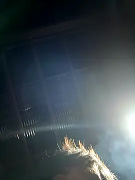 usu0130 online show from October 2025 01:55:02 PM